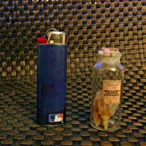 Small Jar 100% Dragons Tooth Crystals 4 Pieces Per Jar Wiccan